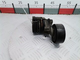 Натяжитель ремня генератора, ориг. номер 03D903305F, 03D903305B, Volkswagen Polo 2005-2009