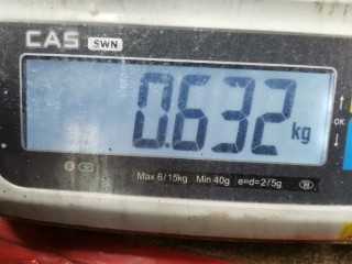 Помпа, ориг. номер 1798955, Ford Fiesta 2001-2007
