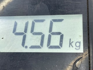 Полуось передняя правая (приводной вал, ШРУС), ориг. номер 8200624049, Renault Clio 1998-2002