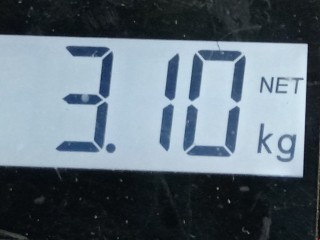 Поддон, ориг. номер 98MM-6675-DA, Ford Focus 1998-2001