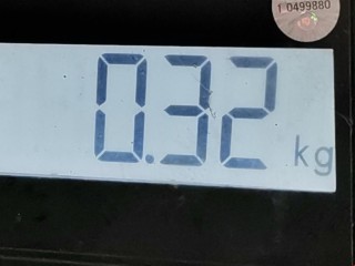 Амортизатор крышки багажника (3-5 двери), ориг. номер 8731G6, 21025003, Citroen C8 2002-2008
