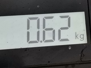 Амортизатор крышки багажника (3-5 двери), ориг. номер 8731G6, 21025003, Peugeot 807 2002-2008
