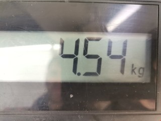 Стеклоподъемник электрический задний правый, ориг. номер 4B0839462, Audi A6 1997-2001