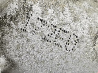Клапан ЕГР EGR, ориг. номер 9671398180, 1836229, Ford Mondeo 2006-2010