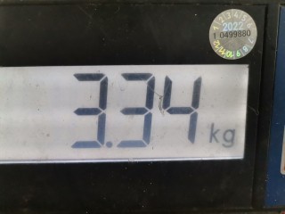 Проводка, ориг. номер 91750H5020, Hyundai Solaris 2020-2022