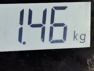 Суппорт задний левый, ориг. номер 8E0615423, Volkswagen Passat 1996-2001