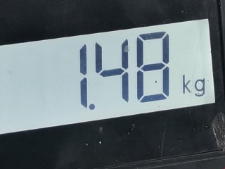 Магнитола, ориг. номер KDS721R, Volkswagen Passat 1996-2001