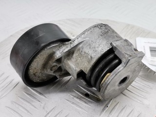 Натяжитель ремня генератора, ориг. номер 8200460446, 1195500Q0K, Renault Megane 2002-2006
