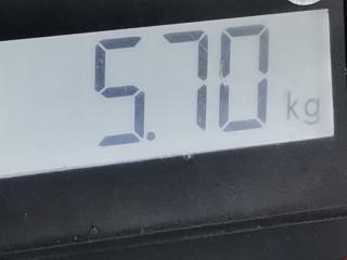 Стойка передняя левая, ориг. номер 1J0413031S, Volkswagen Golf 1991-2000