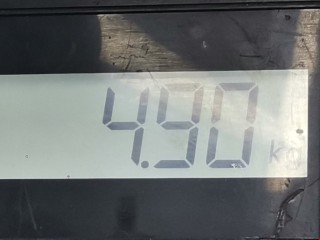 Усилитель бампера заднего, ориг. номер 13100366, Opel Vectra 2002-2005