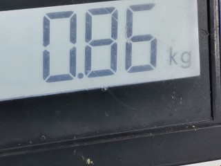 Блок предохранителей, ориг. номер 25955994, AK62208, Opel Antara 2006-2011