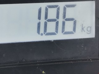 Подушка безопасности боковая (шторка), ориг. номер 72122991177, 84299117710V, BMW X1 E84 2009-2012