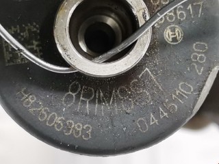 Форсунка, ориг. номер 0445110280, 8200606383, Renault Scenic 2003-2006