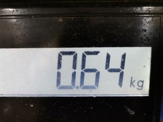 Форсунка, ориг. номер 98MF-9F593-BB, Ford Focus 2001-2005