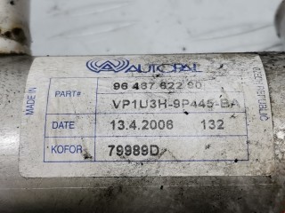 Радиатор EGR, ориг. номер 9646762280, 161863, Peugeot 307 2005-2008