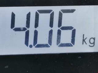 Суппорт передний правый, ориг. номер 1766808, Ford Fiesta 2008-2013