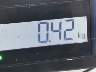 Бачок расширительный, ориг. номер 8200262036, 7701474499, Renault Scenic 1999-2003