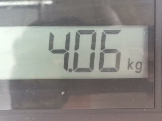 Стекло двери передней правой, ориг. номер 51338252454, BMW 3 E46 1997-2003