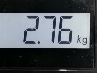 Суппорт передний левый, ориг. номер 98AX2L232BB, Ford Focus 2001-2005