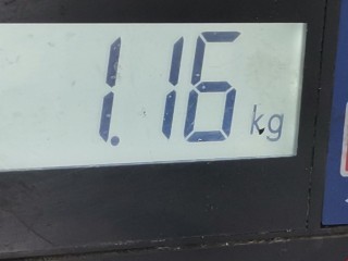 Насос топливный, ориг. номер 0580303018, A2114701694, Mercedes E W211 2002-2006