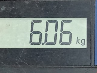 Подножка, ориг. номер 96100EB10A, Nissan Navara 2001-2007
