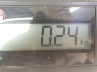 Ограничитель открывания двери, ориг. номер C00172270F, Mazda Xedos 6 1992-2000