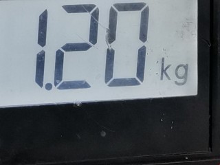 Подушка безопасности боковая (шторка), ориг. номер 1866374, Ford Focus 2011-2015
