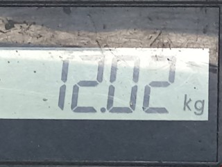 Винтовая подвеска (койловеры), ориг. номер 4852049565, Lexus RX 1997-2003