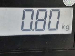 Уплотнитель, ориг. номер 769231KA0A, Nissan Juke 2010-2014