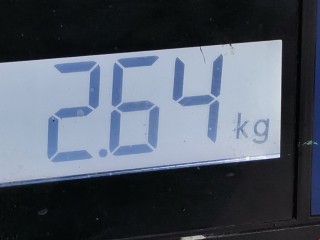 Суппорт задний правый, ориг. номер 4L3Z2552AB, Ford F 2003-2008