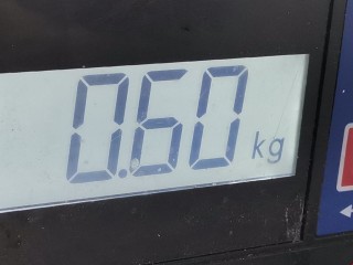 Переключатель подрулевой (стрекоза), ориг. номер DC2166120A, Mazda Demio 1999-2003