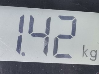 Амортизатор задний правый, ориг. номер 13254784, 844904003501, Opel Vectra 1999-2002