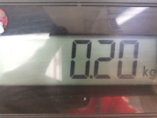 Ручка внутренняя задняя левая, ориг. номер 7700352370H, 7700352434, Renault Master 1998-2003