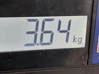 Механизм стеклоочистителя (трапеция дворников), ориг. номер 6025370338, Renault Espace 1996-2002