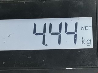 Подушка безопасности пассажира, ориг. номер 6012784, 77850ST3G800, Honda Civic 1995-2001