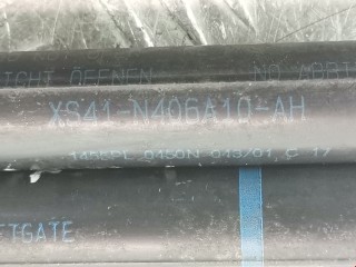 Амортизатор крышки багажника (3-5 двери), ориг. номер XS41N406A10AH, 1455PL, Ford Focus 1998-2001