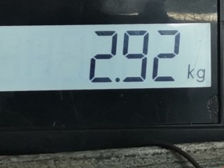 Пружина задняя, ориг. номер 52441SMGE03, Honda Civic 2005-2008