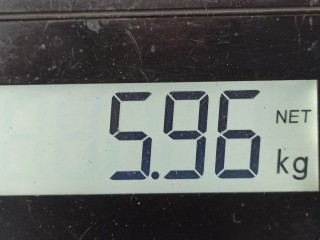 Глушитель, ориг. номер 18220SMGE11, Honda Civic 2005-2008