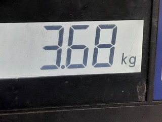 Вакуумный усилитель тормозов, ориг. номер A2044301230, 03774764014, Mercedes C W204 2007-2011