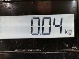 Датчик коленвала, ориг. номер 12567712, 24576398, Opel Astra 1994-2002