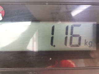 Стеклоподъемник электрический задний правый, ориг. номер 6980433030, Lexus RX 2003-2006