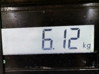 Коллектор впускной, ориг. номер 1710120050, Lexus RX 2003-2006