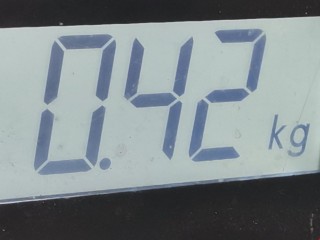 Замок ремня безопасности, ориг. номер E034601, 7348047040, Lexus RX 2003-2006