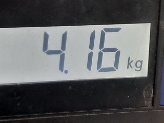 Вакуумный усилитель тормозов, ориг. номер 13228187, 03785908314, Opel Insignia 2008-2013