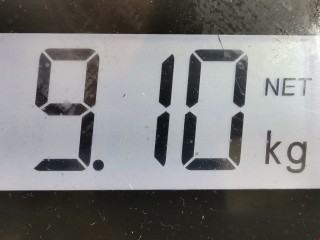 Стойка передняя правая, Kia Retona 1998-2000