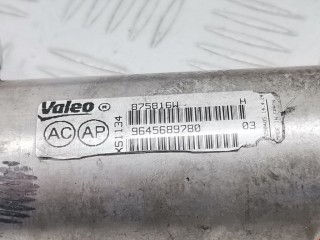 Радиатор EGR, ориг. номер 9645689780, 1233381, Ford Focus 2001-2005