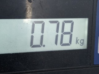 Петля двери, Renault Kangoo 2007-2013