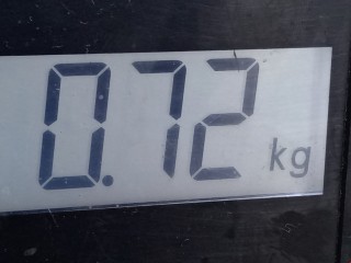 Амортизатор крышки багажника (3-5 двери), ориг. номер 13387067, 498810, Opel Zafira 2008-2014