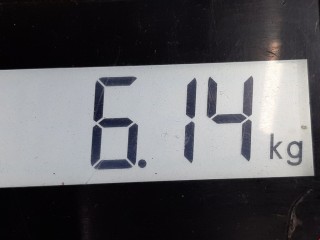Суппорт передний левый, ориг. номер 581103E100, Kia Sorento 2002-2006