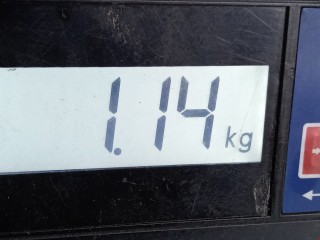 Блок комфорта, ориг. номер A2115457301, 00403136, Mercedes CLS W219 2004-2008